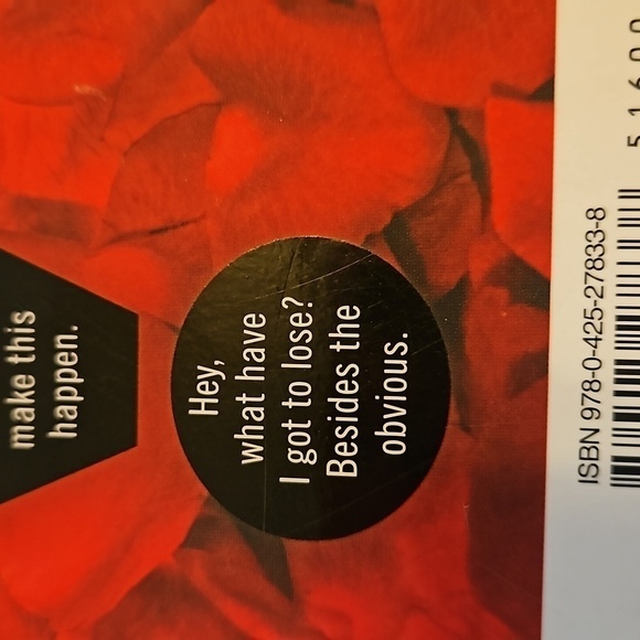 Virgin By Radhira Sanghani 2014 Home Accents Cofffe Table Books shelf decor - Picture 6 of 13